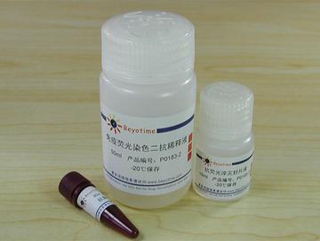 免疫荧光染色试剂盒-抗兔Cy3